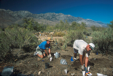 Bill and Jerry getting plants in the ground at the garden Bill and Jerry getting plants in the ground at the garden