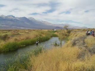 Lower Owens River Project, 2007