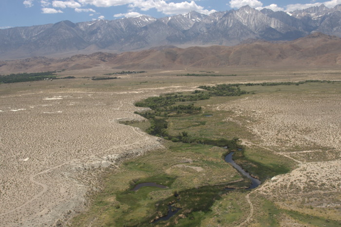 Lower Owens River riparian strip in the Lone Pine area
