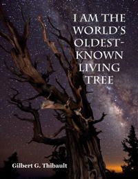 I am the World's Oldest-Known Living Tree