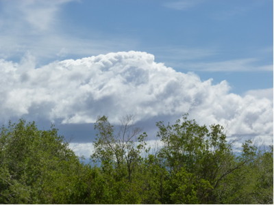 Clouds and Riparian Vegetation from SNARL