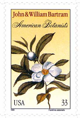Franklinia Postage Stamp