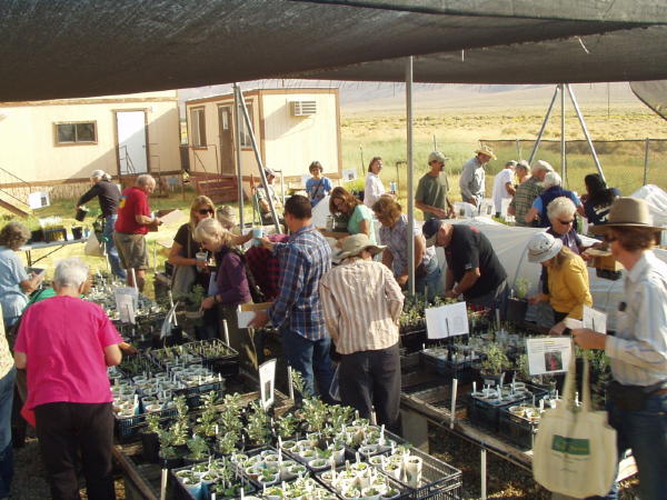 Crowds at this year's plant sale
