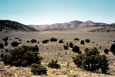 snapshot2.jpg (19689 bytes)