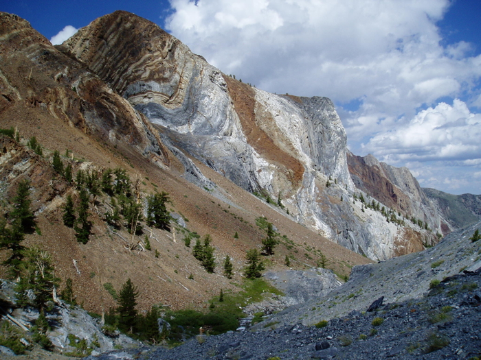 Convict Creek - a potential hotspot for rare plants